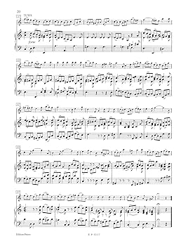 Violin Concerto in a Minor Bwv 1041 Edition for Violin and